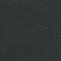 DLW Gerfloor Colorette Linoleum 0081 Private black